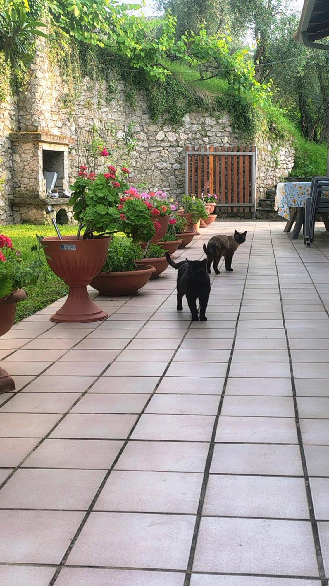 Appartamento Michela Brenzone sul Garda Exterior photo